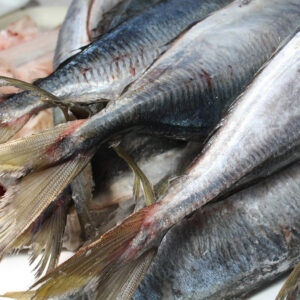 Whole fresh fish with fanned tails and silver scales piled on ice at a fish market.