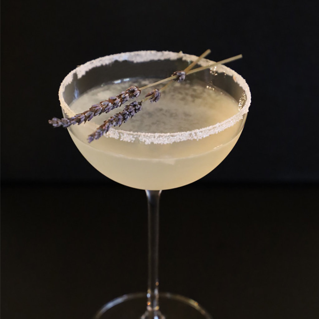 Two Meadows Martini in a sugar-rimmed coupe garnished with two dried lavender sprigs.